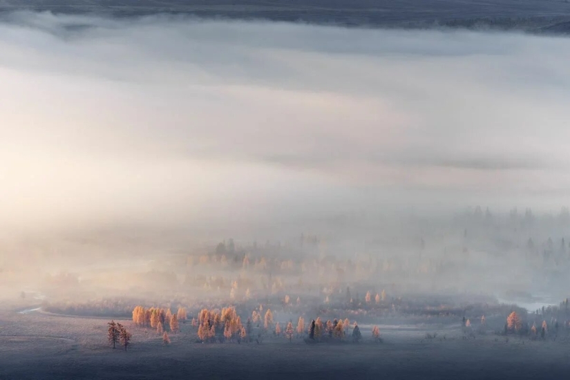 Premiere of the Wildlife Photographers Union Forum — Nature Photo Talks