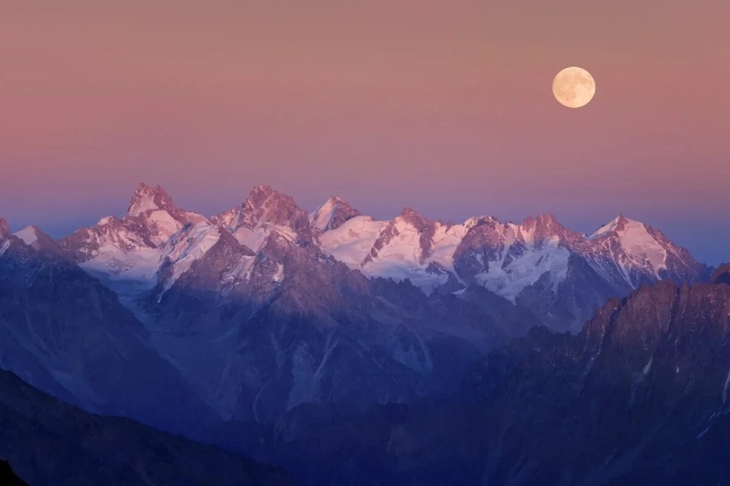 Premiere of the Wildlife Photographers Union Forum — Nature Photo Talks