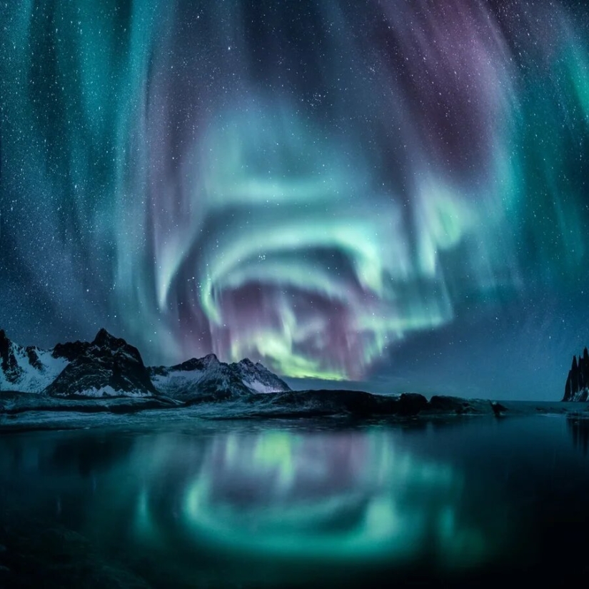 Premiere of the Wildlife Photographers Union Forum — Nature Photo Talks