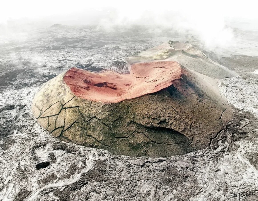 Premiere of the Wildlife Photographers Union Forum — Nature Photo Talks