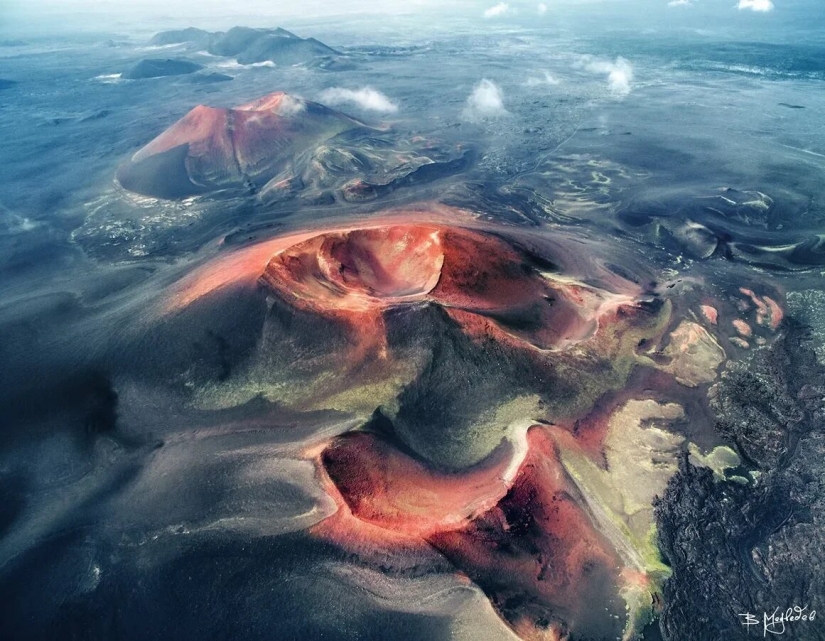 Premiere of the Wildlife Photographers Union Forum — Nature Photo Talks