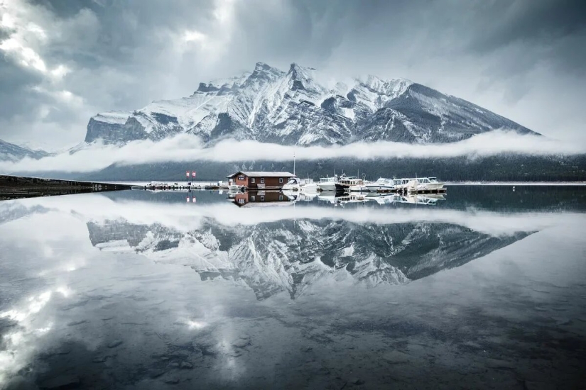 Premiere of the Wildlife Photographers Union Forum — Nature Photo Talks