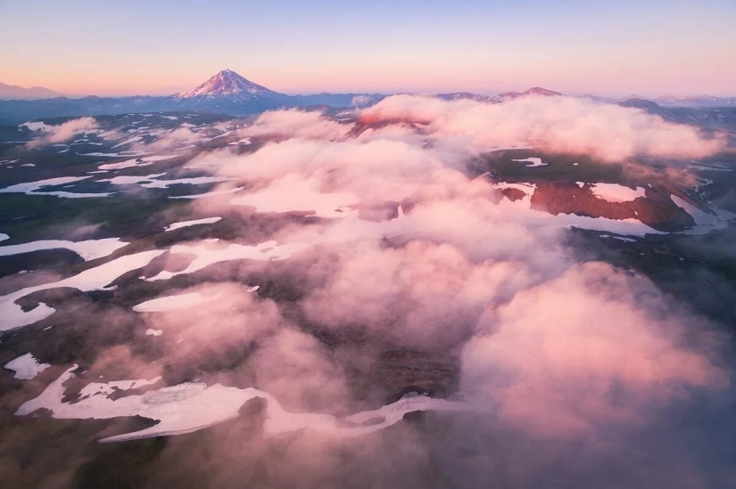 Premiere of the Wildlife Photographers Union Forum — Nature Photo Talks