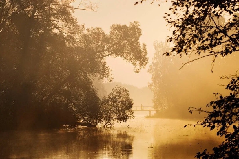 Premiere of the Wildlife Photographers Union Forum — Nature Photo Talks