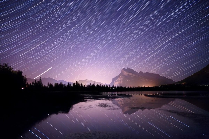 Premiere of the Wildlife Photographers Union Forum — Nature Photo Talks