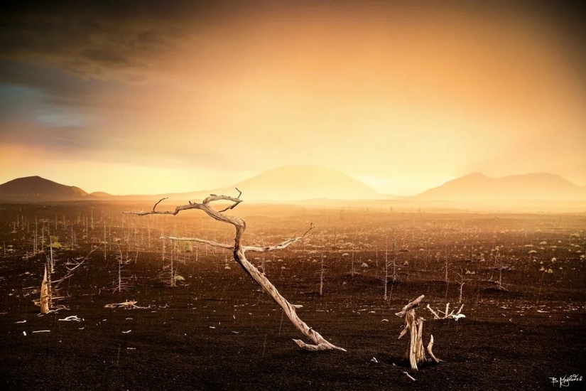 Premiere of the Wildlife Photographers Union Forum — Nature Photo Talks