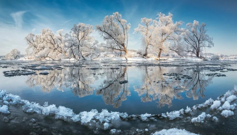 Premiere of the Wildlife Photographers Union Forum — Nature Photo Talks