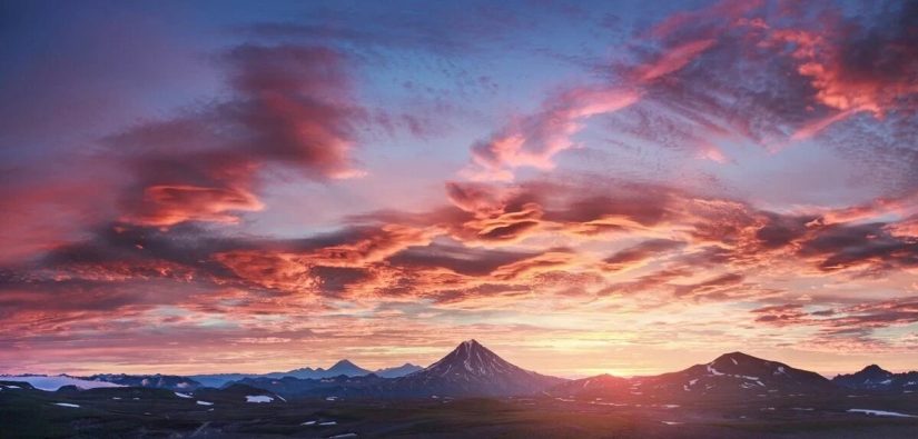 Premiere of the Wildlife Photographers Union Forum — Nature Photo Talks