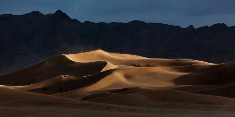 Premiere of the Wildlife Photographers Union Forum — Nature Photo Talks