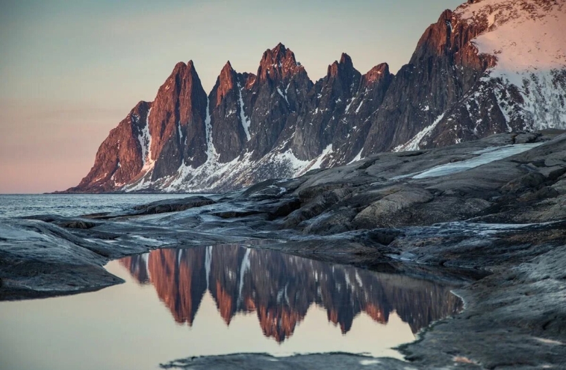 Premiere of the Wildlife Photographers Union Forum — Nature Photo Talks