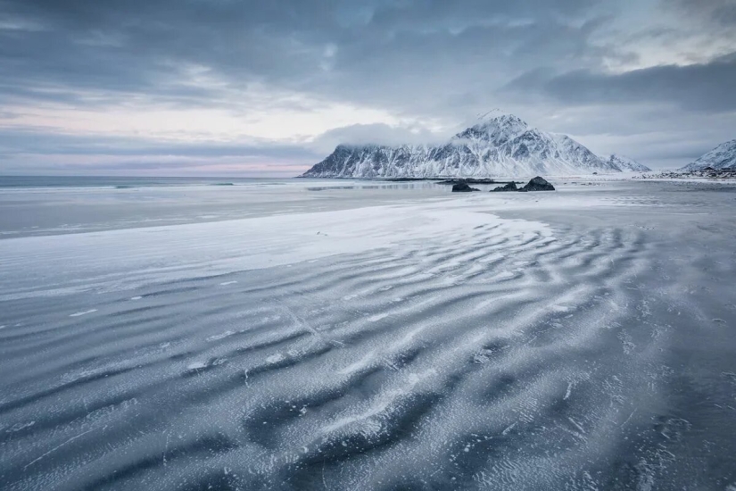 Premiere of the Wildlife Photographers Union Forum — Nature Photo Talks