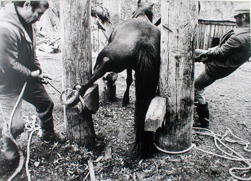 Prohibido el culto a las imágenes del fotógrafo lituano Vitas Luckus Prohibido el culto a las imágenes del fotógrafo lituano Vitas Luckus