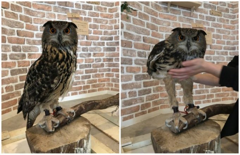 Proof that this world will never cease to amaze us Proof that this world will never cease to amaze us