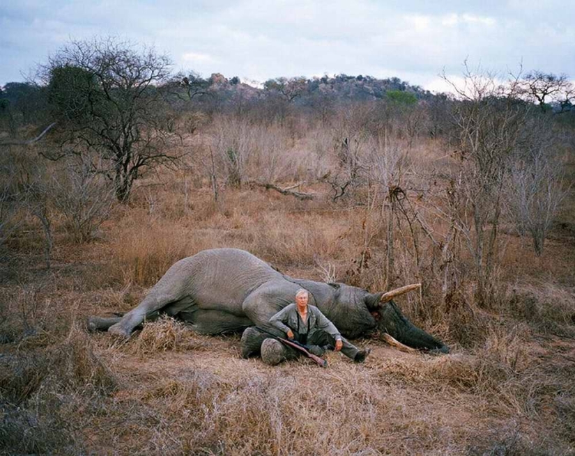 Provocativo proyecto fotográfico"Cazadores y su presa" Provocativo proyecto fotográfico"Cazadores y su presa"