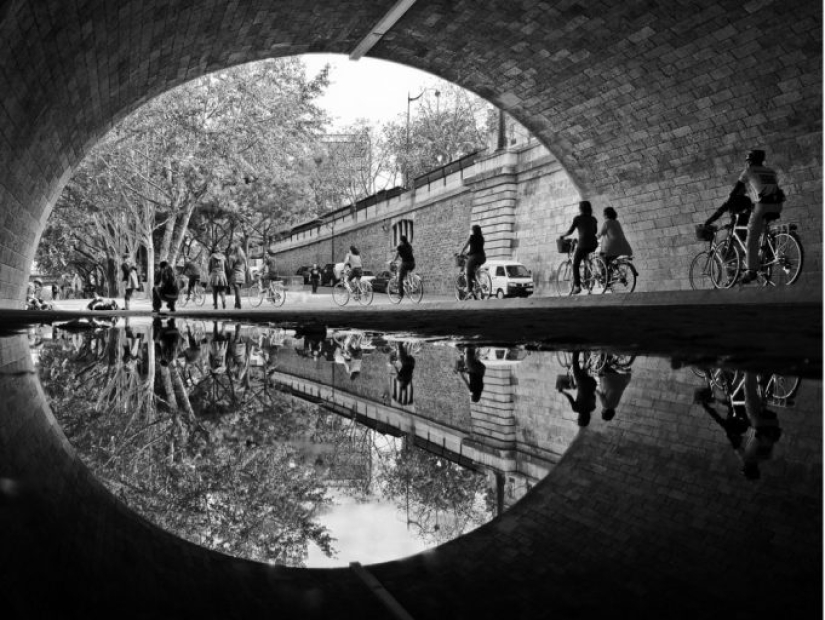 Prueba de que este mundo nunca dejará de sorprendernos Prueba de que este mundo nunca dejará de sorprendernos