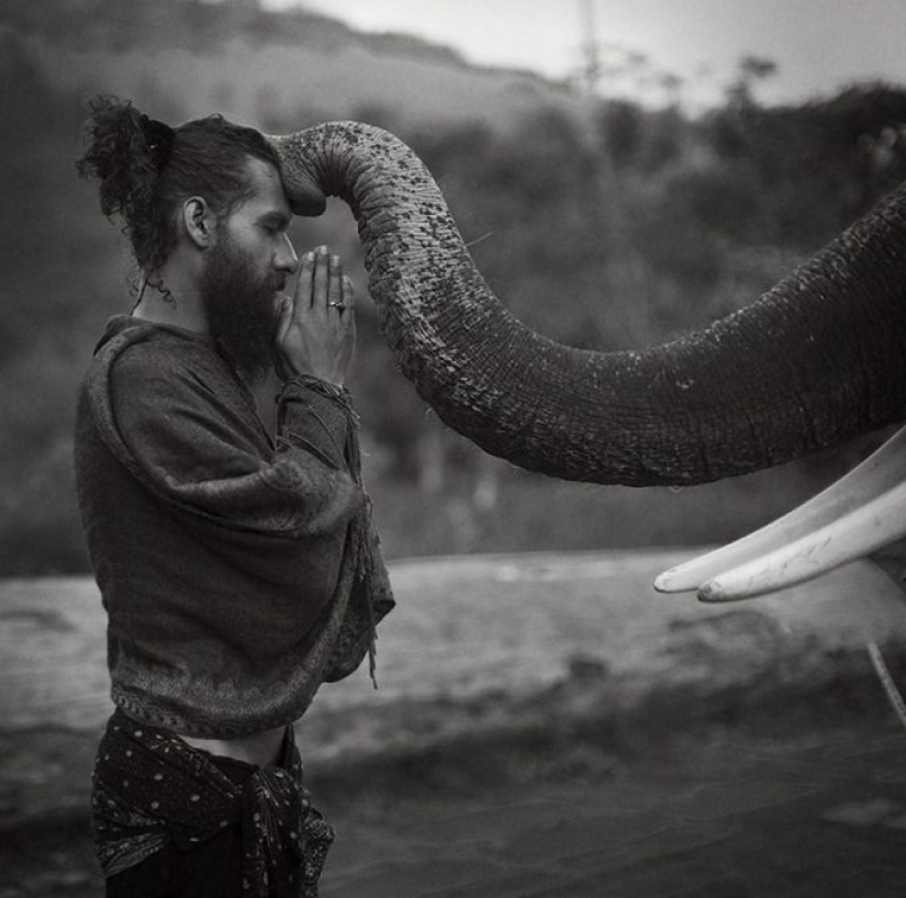 Prueba de que este mundo nunca dejará de sorprendernos Prueba de que este mundo nunca dejará de sorprendernos