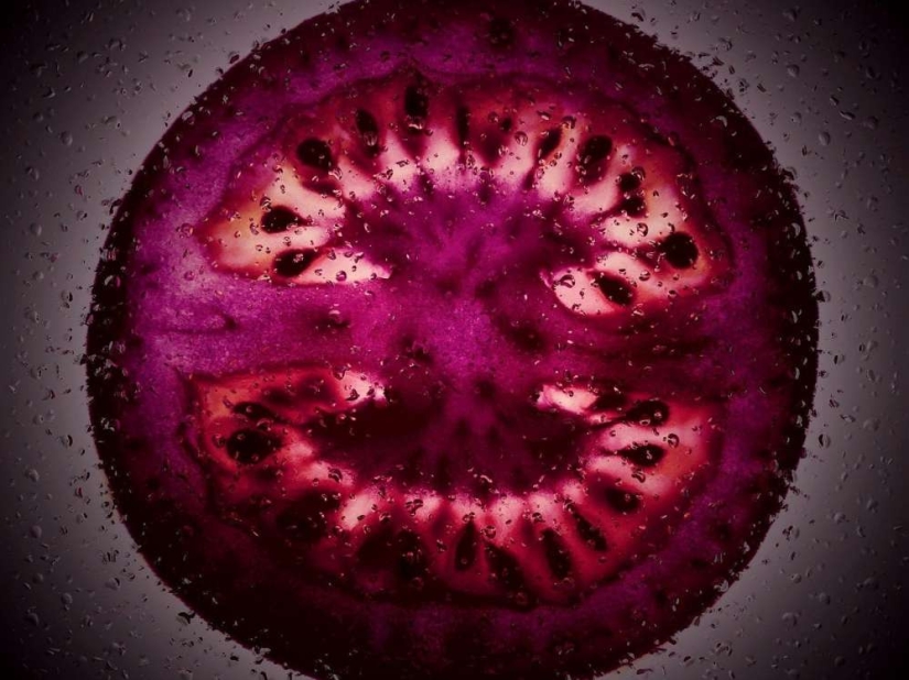 Purple GMO tomatoes will be sold in the USA