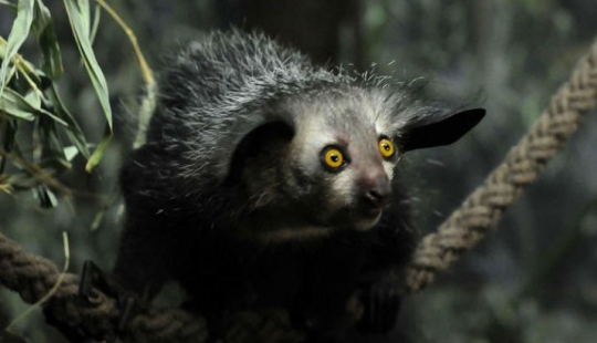 ¿Qué hace el verdadero anti-mi-mi-mi parecer