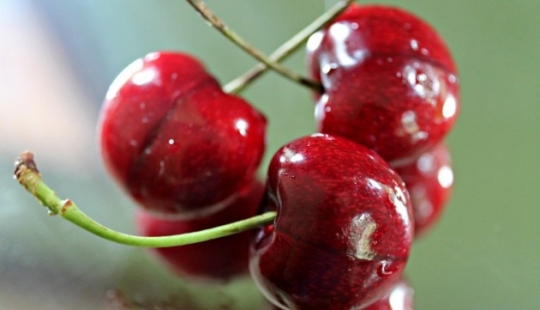 ¿Qué nos puede matar?