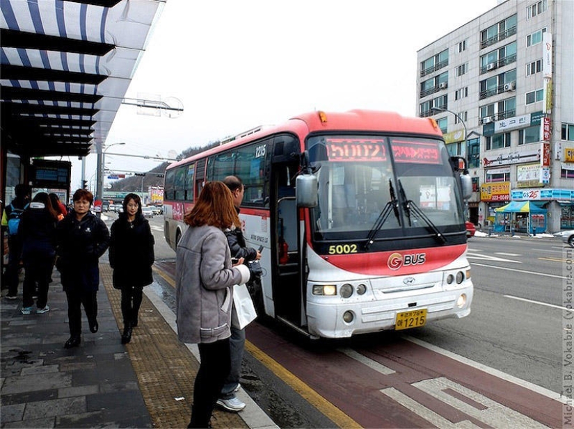 ¿Qué se puede comprar por $1 en diferentes países del mundo?