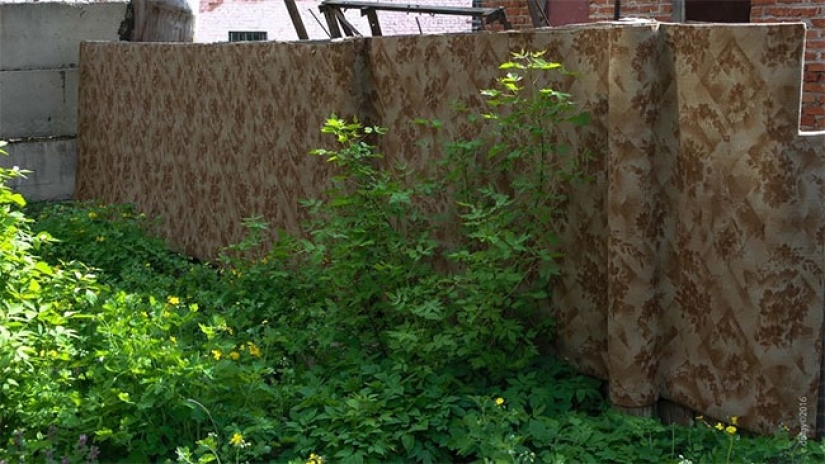 Qué sucede con las alfombras que han sido desterradas del apartamento Qué sucede con las alfombras que han sido desterradas del apartamento