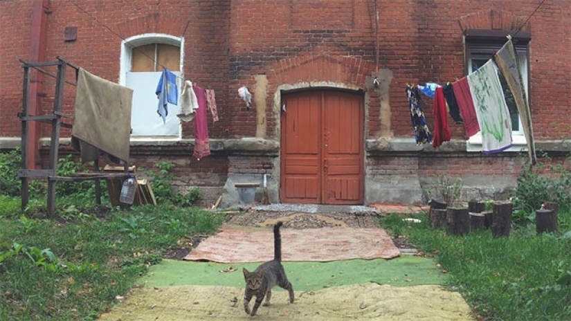 Qué sucede con las alfombras que han sido desterradas del apartamento Qué sucede con las alfombras que han sido desterradas del apartamento