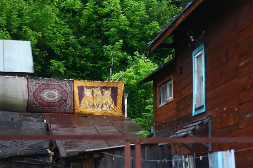 Qué sucede con las alfombras que han sido desterradas del apartamento Qué sucede con las alfombras que han sido desterradas del apartamento