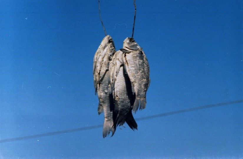 Qué tipo de comida falta para los rusos en el extranjero Qué tipo de comida falta para los rusos en el extranjero