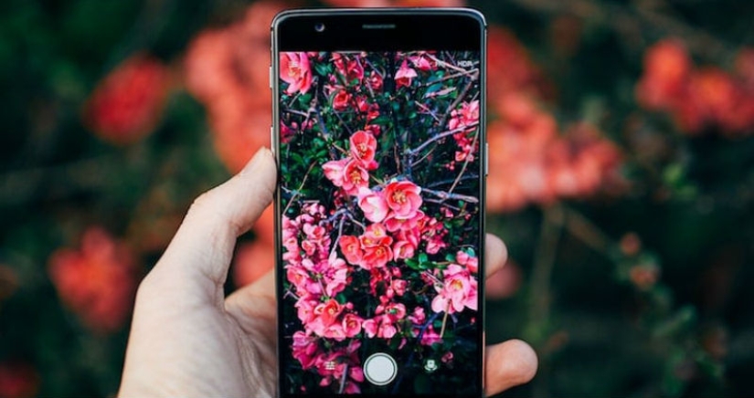 Qué tipo de Pokémon es este: ha aparecido Shazam para animales, plantas y pájaros Qué tipo de Pokémon es este: ha aparecido Shazam para animales, plantas y pájaros