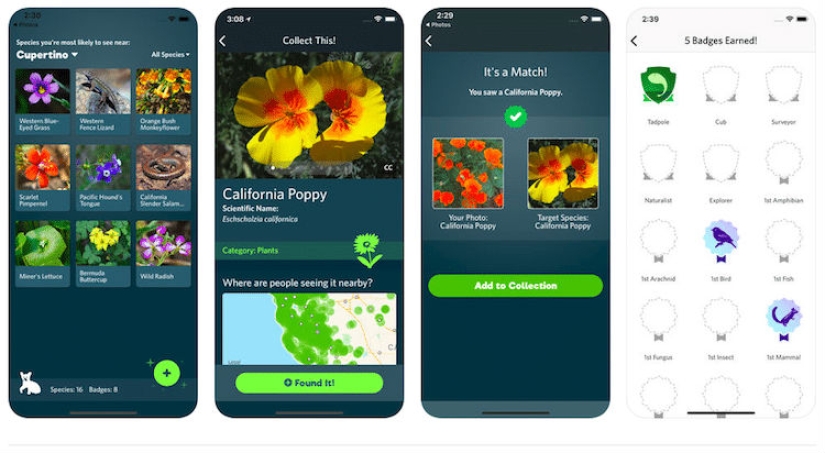 Qué tipo de Pokémon es este: ha aparecido Shazam para animales, plantas y pájaros Qué tipo de Pokémon es este: ha aparecido Shazam para animales, plantas y pájaros