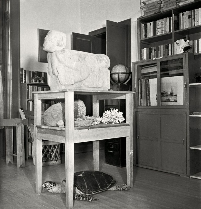 Raras fotos de los últimos años de la vida de Frida Kahlo Raras fotos de los últimos años de la vida de Frida Kahlo