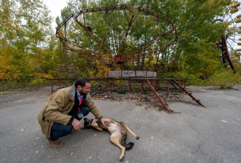 Rayos de bondad: un científico de los Estados Unidos sacrificó su carrera para salvar a los perros abandonados en Chernobyl