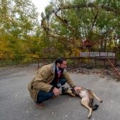 Rays of kindness: a scientist from the USA sacrificed his career to save abandoned dogs in Chernobyl