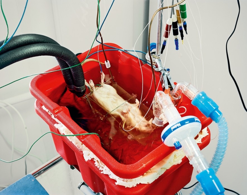 Recepción fría Recepción fría