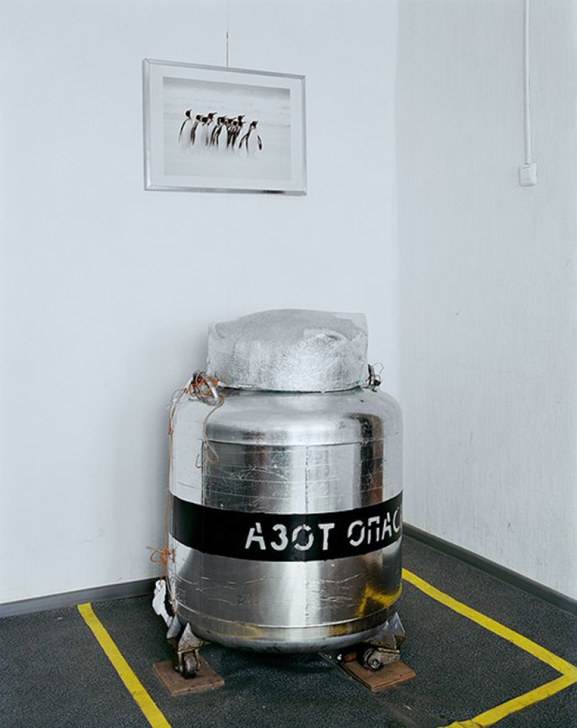 Recepción fría Recepción fría