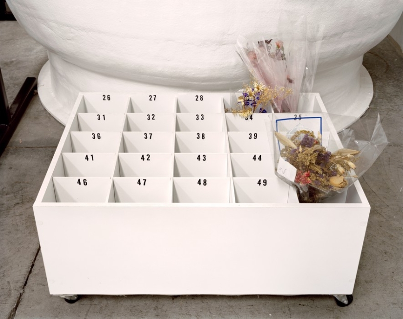 Recepción fría Recepción fría