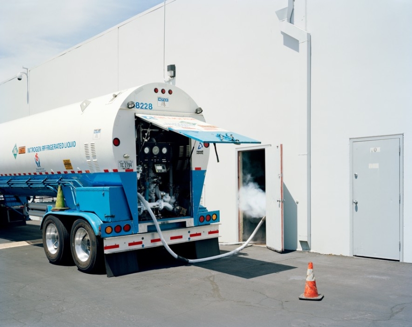 Recepción fría Recepción fría