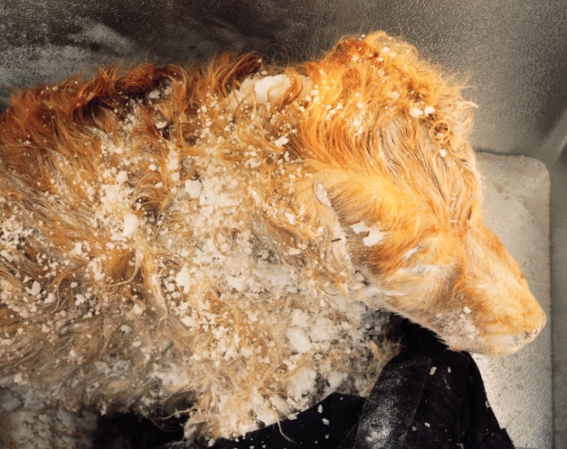 Recepción fría Recepción fría