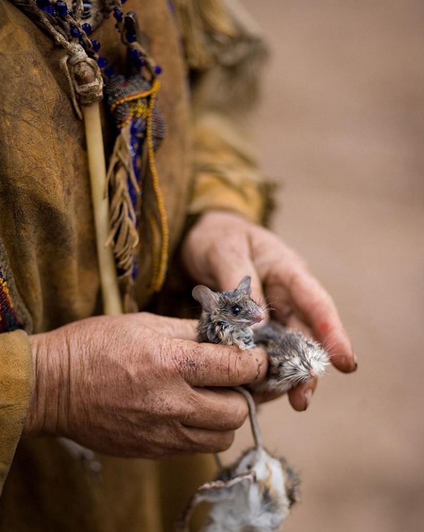 Regreso a los orígenes: Cómo viven los cazadores y recolectores modernos