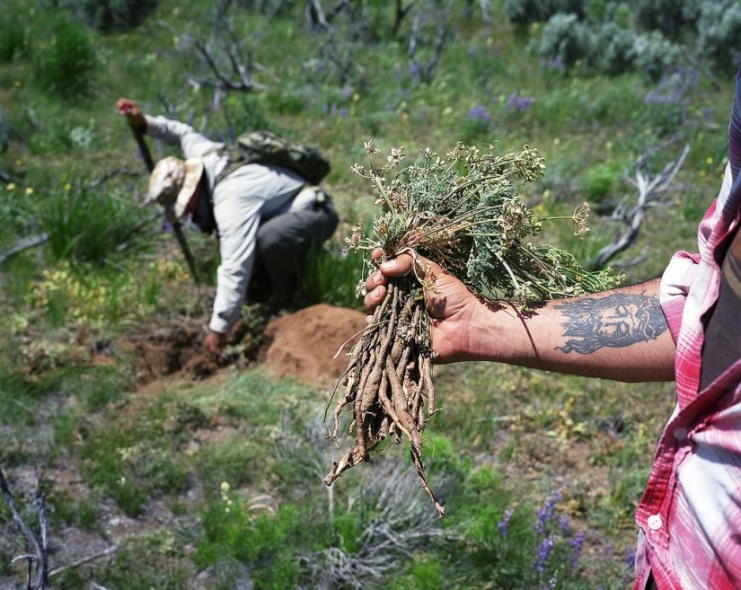 Regreso a los orígenes: Cómo viven los cazadores y recolectores modernos