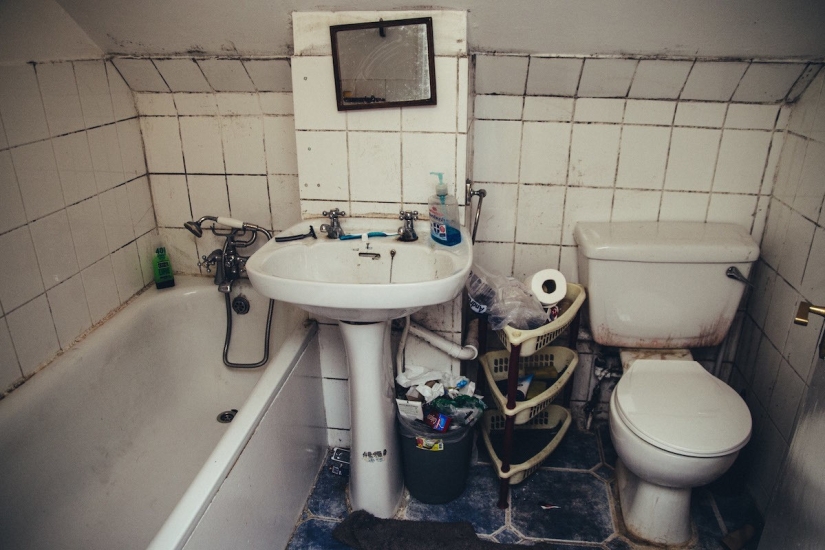 ¿Reinas de mierda o chistyuli doméstico? ¿Reinas de mierda o chistyuli doméstico?