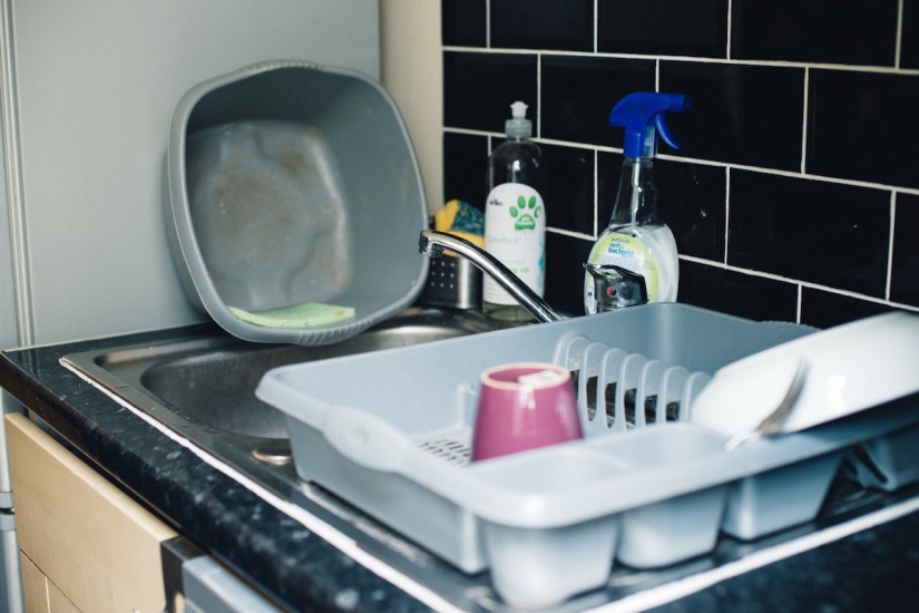 ¿Reinas de mierda o chistyuli doméstico? ¿Reinas de mierda o chistyuli doméstico?