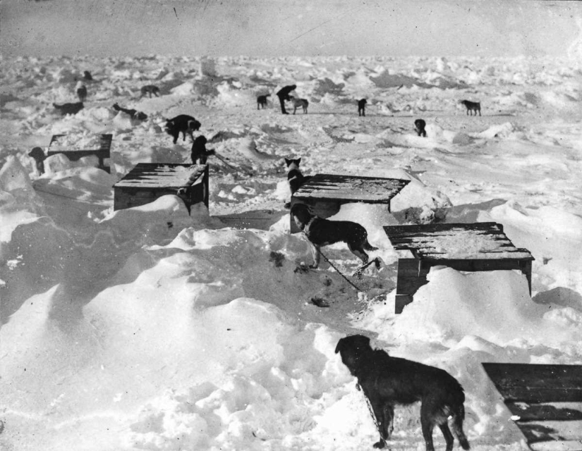 "Resistencia", o la historia de la supervivencia de 28 personas entre el hielo antártico en 1914-1916