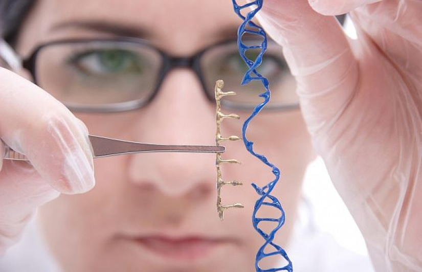 "Restablecer la configuración de fábrica": se ha encontrado una nueva forma de combatir el alcoholismo