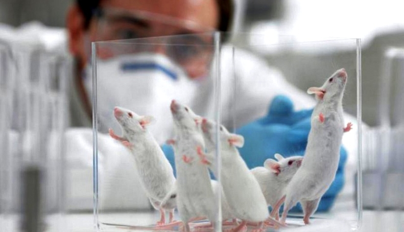 "Restablecer la configuración de fábrica": se ha encontrado una nueva forma de combatir el alcoholismo