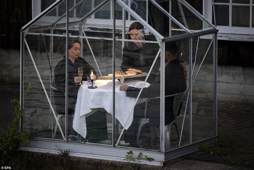 Restaurante holandés plantó visitantes para cenar en invernaderos