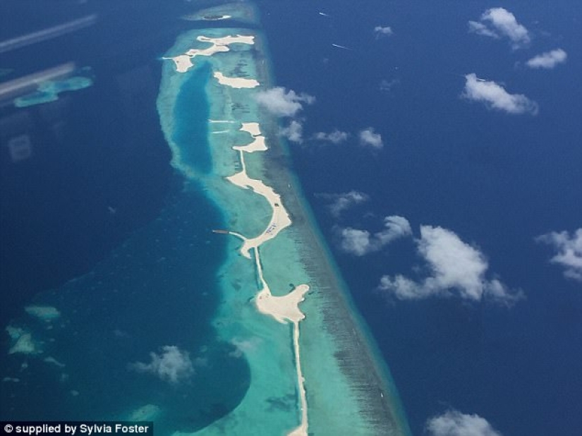 Retired and started living: an elderly couple built a plane and flew around the world Retired and started living: an elderly couple built a plane and flew around the world