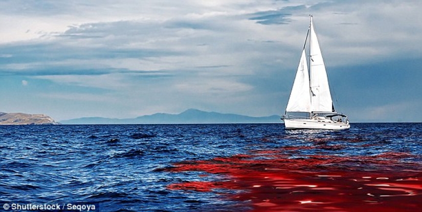 Retribution after 37 years: a British woman found her brother's killer thanks to social networks