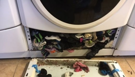 Revelado el misterio de los calcetines perdidos Revelado el misterio de los calcetines perdidos