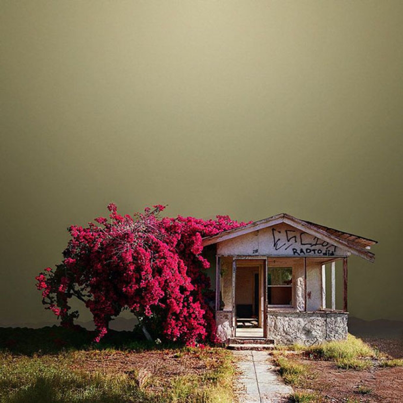 Rincones olvidados en el desierto de California Rincones olvidados en el desierto de California